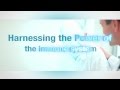 IMUN Video Intro Presentation