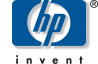 Hewlett-Packard AP Automation BPO Case Study